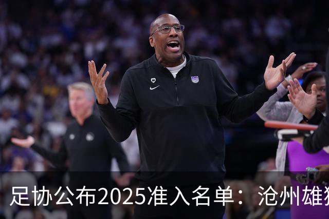 足协公布2025准入名单：沧州雄狮、广州队无缘